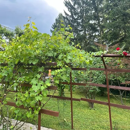Villa Solis - Private Heated Pool&jacuzzi Sarajevo