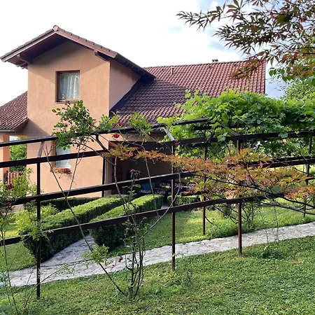 Solis - Private Heated Pool&jacuzzi * Sarajevo